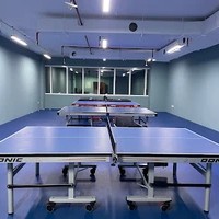 Spin and Smash Table Tennis Academy