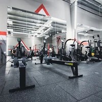 Muscle Up Fitness