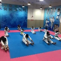 Nimr Al Khaleej Karate (JKA-UAE)
