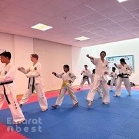 Hwa Rang Martial Arts Club - ITF Certified Taekwon-Do @ Kent College