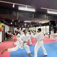 Karate Kid Martial Arts