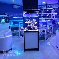 Reeflections Fish & Live Animals Trading