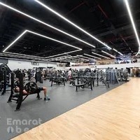 Train Strength & Fitness