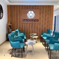 Openminds Child Intervention Services