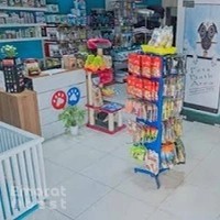 PUPPIES IN DUBAI