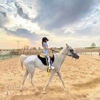 Arabian Star Stables