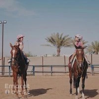 Arabian Star Stables