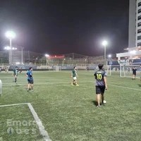Super Eleven clubs (target football ground)