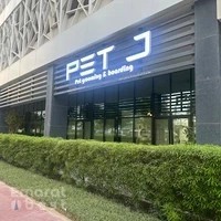 Pet J