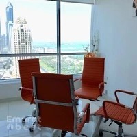 Flyingcolour Business Setup Services LLC