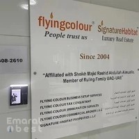 Flyingcolour Business Setup Services LLC