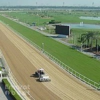 Horse & Carriage Equestrian Equipment LLC