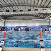 Cleopatra Swimming Academy