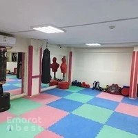Black Dragon Karate Centre