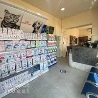 The City Vet Clinic - Al Ain Branch