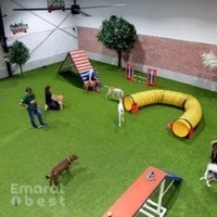 Petsville | Luxury Dog Staycations | Active Daycare | Grooming