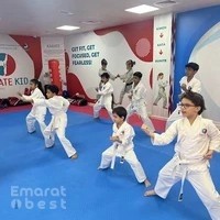 Karate Kid Martial Arts