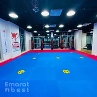 Karate Pro Martial Arts Academy - Al Nahda 2, Dubai