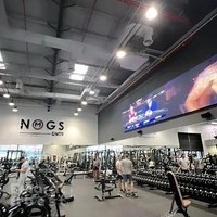 Team Nogueira Dubai