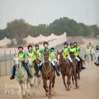 Kadfoor Stables