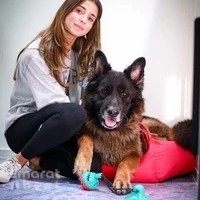 Pet Fun Park - Dog Boarding, Dog Daycare & Pet Grooming