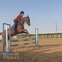 JSR EQUESTRIAN CLUB