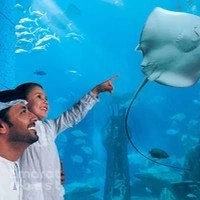 Lost World Aquarium at Aquaventure World