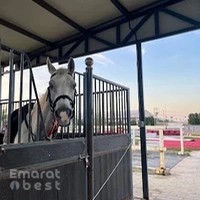 Stable