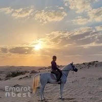 Al Dhabi Horse Riding