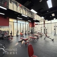 Crony Fitness