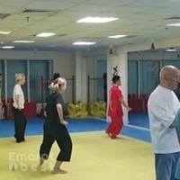 Kung Fu / Tai Chi VIP Private Lesson