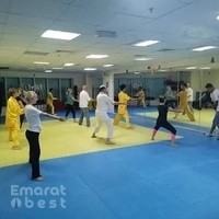 Kung Fu / Tai Chi VIP Private Lesson