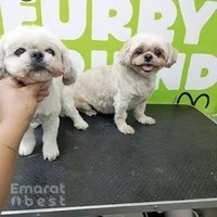 Furry Friends JVC