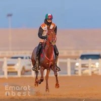 Al jawhara stable