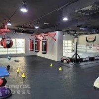 Black Wolf MMA & Fitness center