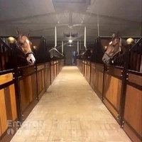 Paragon Equestree Farming Horses