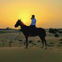 Horse Center UAE