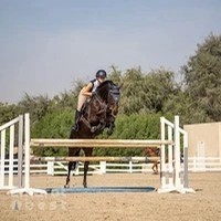 Elite Sport Horses