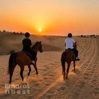Arabian spirit horse ranch