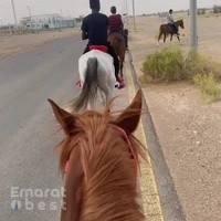 اسطبل مزاحم للفروسية