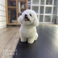Six Pawz Pet Store & Grooming