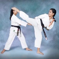 Golden Tiger Karate Sharjah