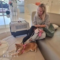 PET EXPRESS ANIMALS TRADING L.L.C