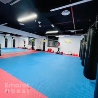 MIDTOWN MARTIAL ARTS CLUB