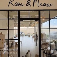 Cat Cafe Vibrissae - Al Safa Park Complex