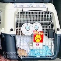 AeroPets Dubai