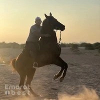 LS Equestrian Club Dubai