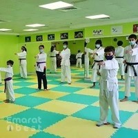 Western Karate dmcc