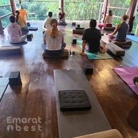 Lifestyle Yoga