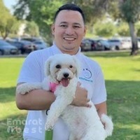 D'PetSquad UAE - Pet Relocation